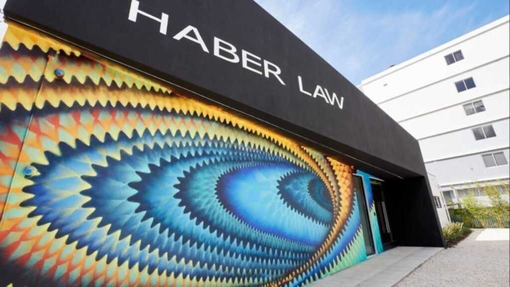 ingage case study haber law