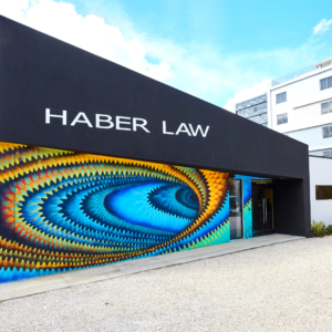 haber law
